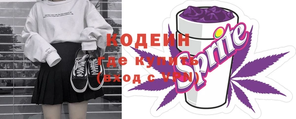 ГАЛЛЮЦИНОГЕННЫЕ ГРИБЫ Кодинск