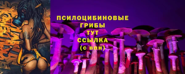 mdpv Козловка