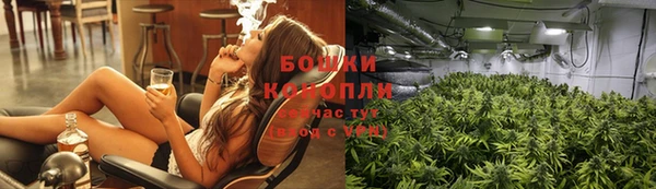 mdpv Козловка