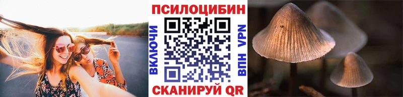 Галлюциногенные грибы прущие грибы Обнинск
