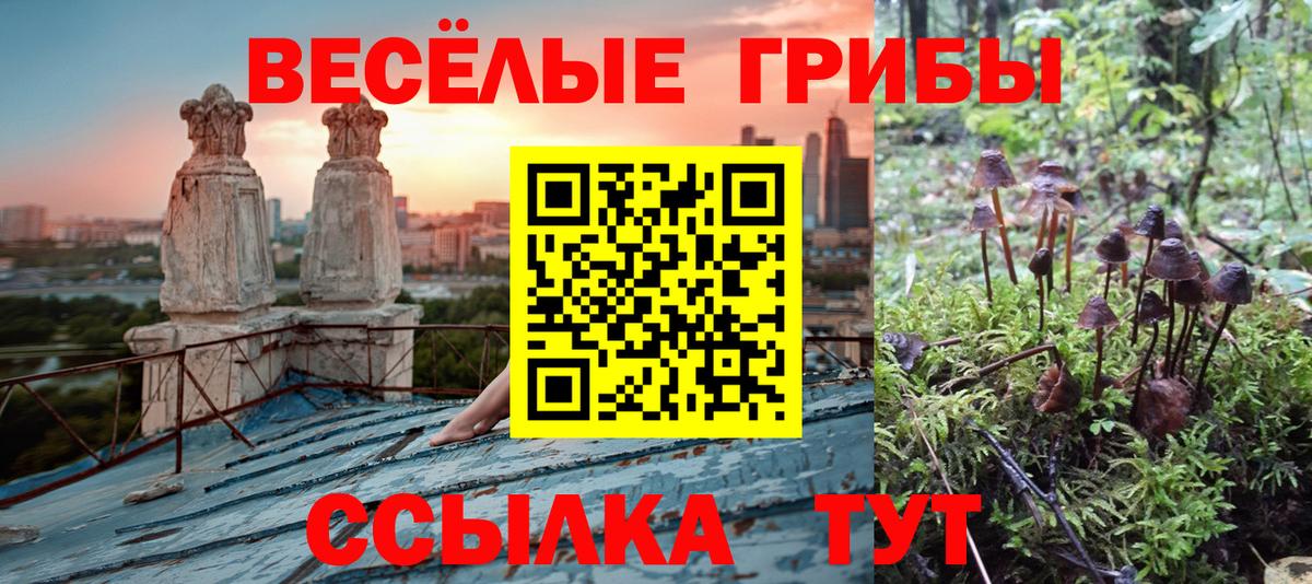 Обнинск  Галлюциногенные грибы Cubensis  цены   Псилоцибиновые грибы мухоморы  Вход с VPN 